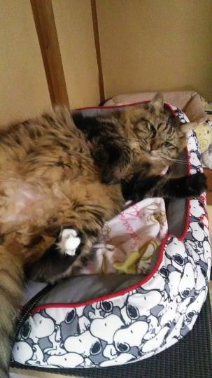 生き物ルーム28