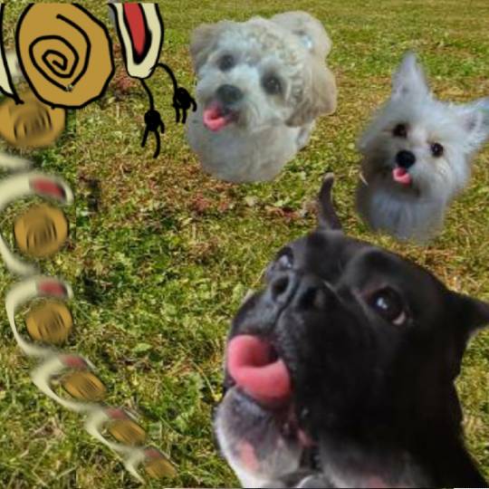 生き物ルーム第26