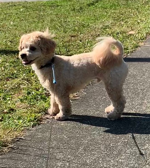 生き物ルーム28