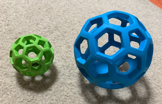 生き物ルーム第29