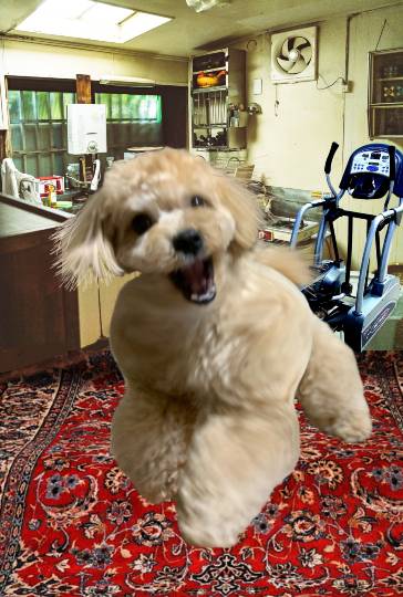 生き物ルーム第27