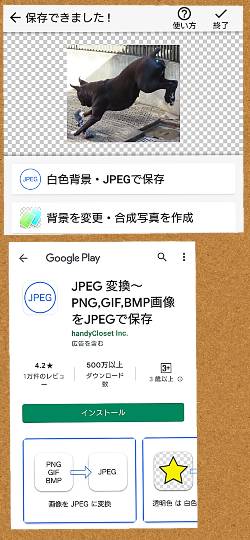 生き物ルーム第29