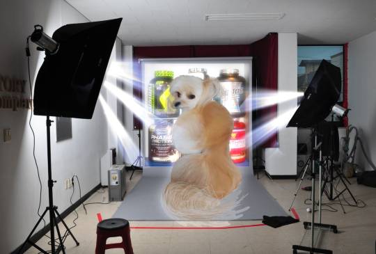 生き物ルーム第27