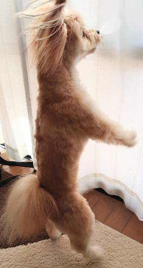 生き物ルーム第29