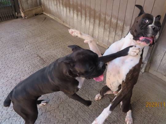 生き物ルーム第27