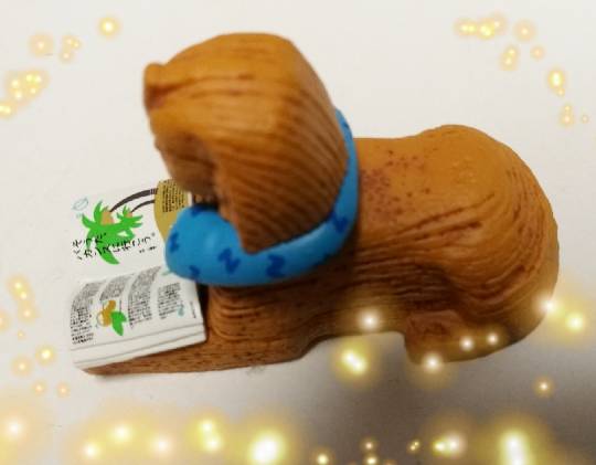 生き物ルーム28