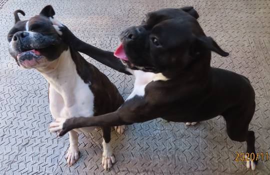 生き物ルーム第27