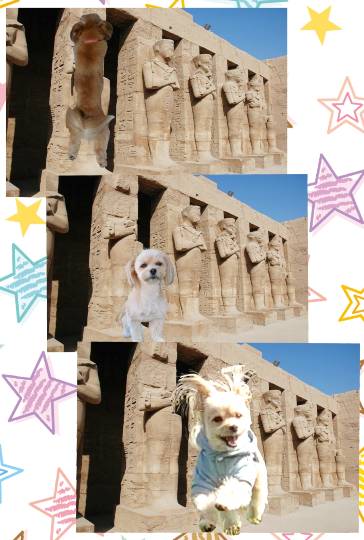 生き物ルーム第26