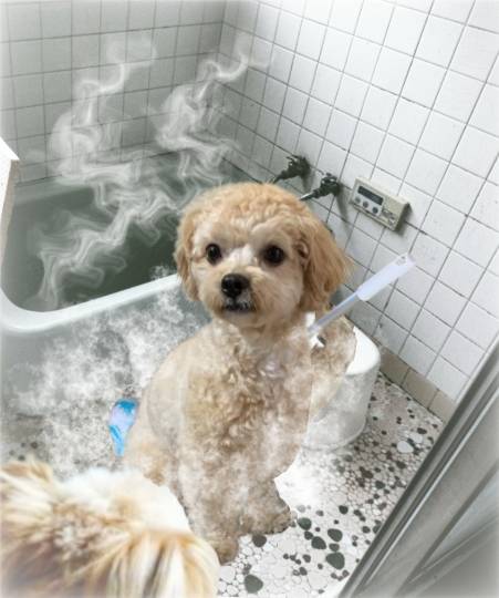 生き物ルーム28