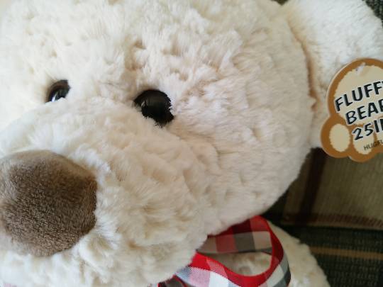 生き物ルーム第29