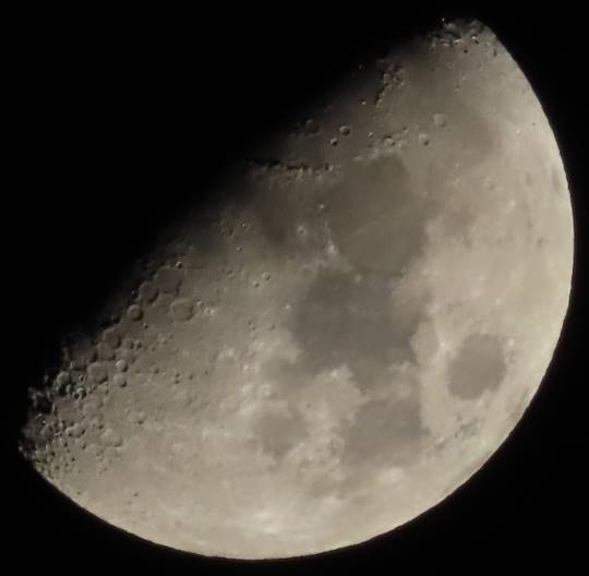 南関東トピック Vol.1.5.1