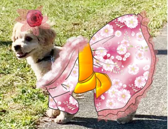 生き物ルーム28