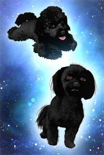 生き物ルーム第27