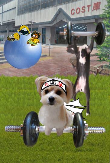 生き物ルーム第27