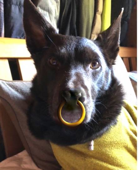 生き物ルーム第29