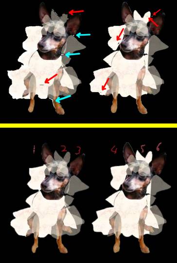 生き物ルーム第27