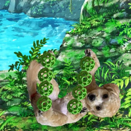 生き物ルーム第29