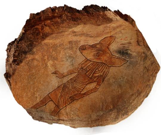 生き物ルーム第27