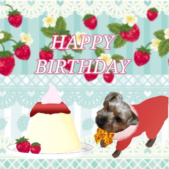 生き物ルーム第29