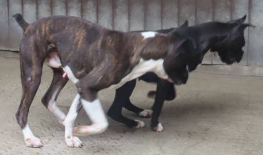 生き物ルーム28