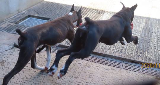 生き物ルーム第29