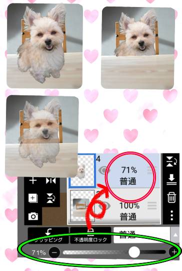 生き物ルーム第27