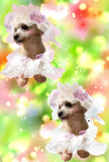 生き物ルーム第27