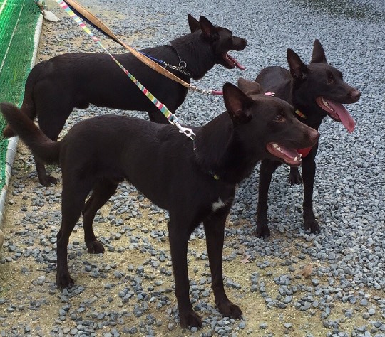 生き物ルーム第29