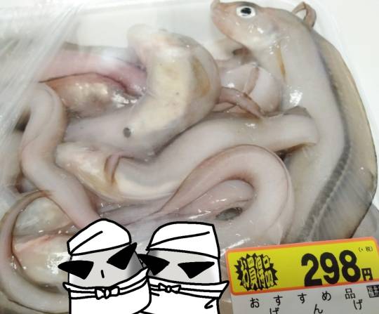 【料理トピ】知り隊　食い隊　調べ隊　3