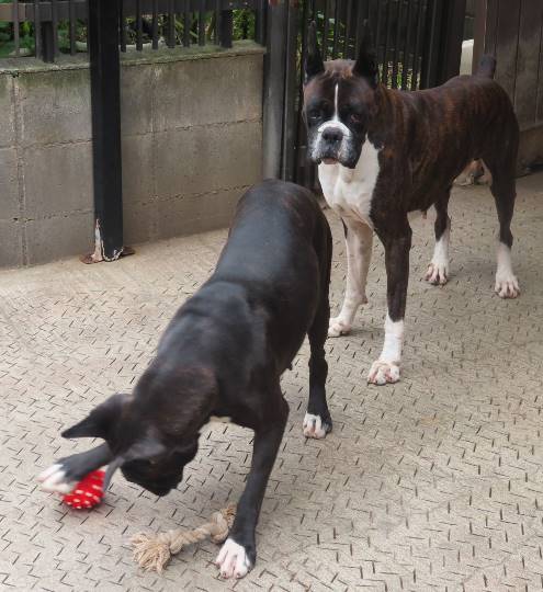 生き物ルーム28