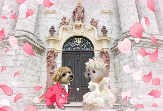 生き物ルーム第27