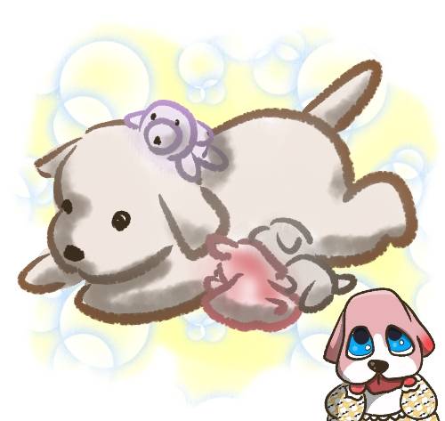 生き物ルーム第27