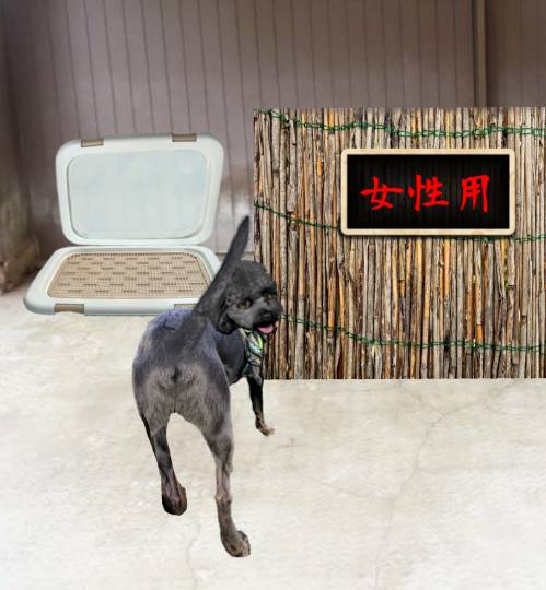 生き物ルーム第27