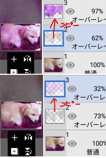 生き物ルーム28