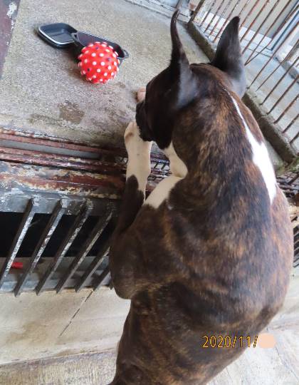 生き物ルーム第29