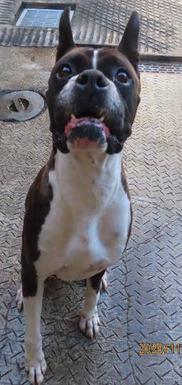 生き物ルーム第29