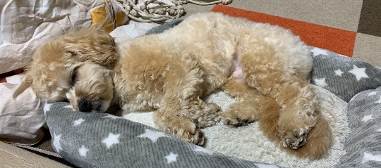 生き物ルーム第29