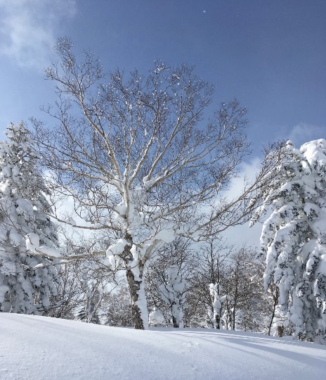 #雑談お絵描き部…ホーム Ⅲ