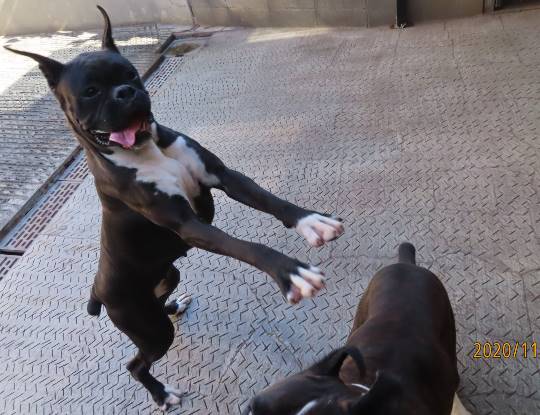 生き物ルーム28