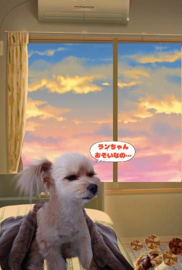 生き物ルーム第30