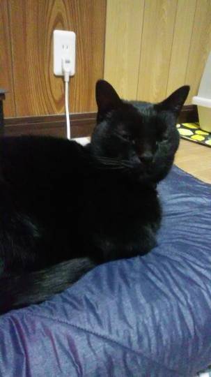 生き物ルーム第30