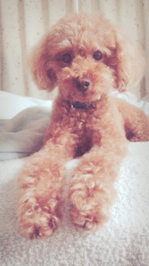 生き物ルーム第31