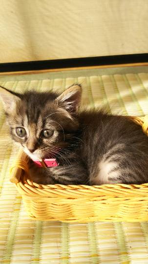 生き物ルーム第31