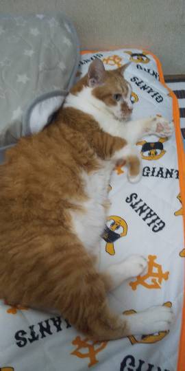 生き物ルーム第31