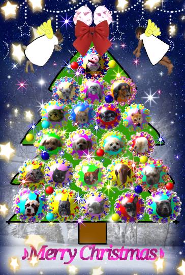 雑談クリスマス会  2020