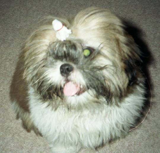 生き物ルーム第31