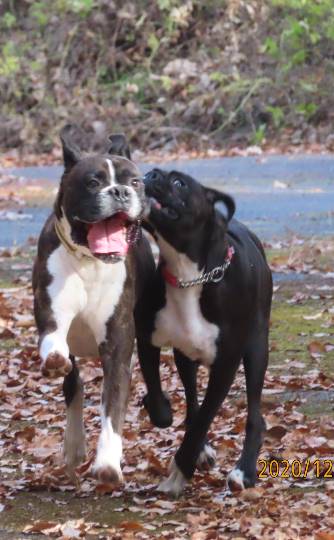 生き物ルーム第31