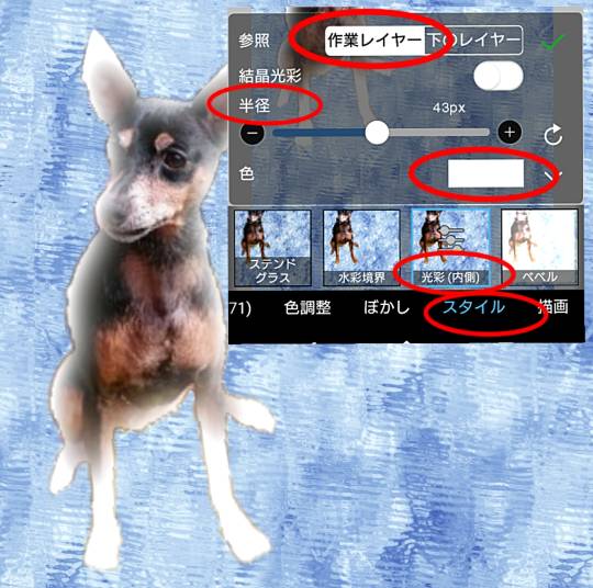 生き物ルーム第30