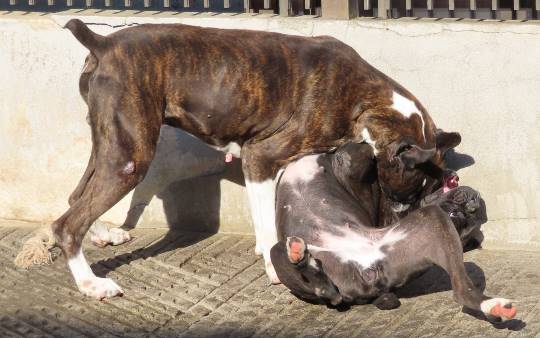 生き物のルーム第32