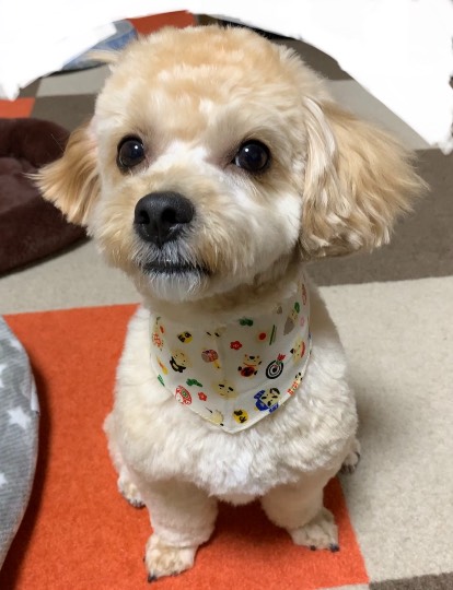 生き物のルーム第32